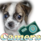 Camera Dog icon