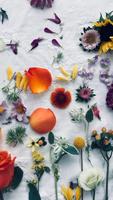 Xiaomi 13 Wallpapers স্ক্রিনশট 2