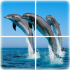 Ocean Puzzle APK
