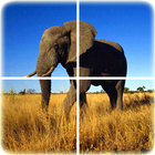 Animal Puzzle أيقونة