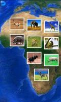 پوستر Animal Puzzle