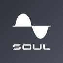 SOUL PLUS APK
