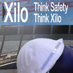 XILO Safety-Audit Offline Edit