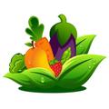 Fruits Veggie