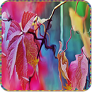 Maple Leaf Live Wallpaper APK