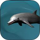 Coral Reef Dolphin Simulator-APK