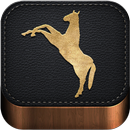 Tame your horse,pony & donkey-APK