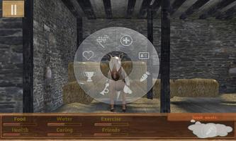 Tame your horse,pony & donkey screenshot 2