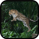 Wild Leopard Simulator 3D-APK