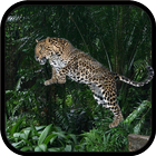 Wild Leopard Simulator 3D icône