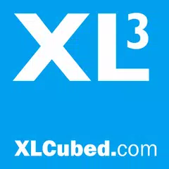 Descargar APK de XLCubed Report Viewer