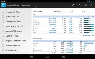 XLCubed Report Viewer screenshot 2