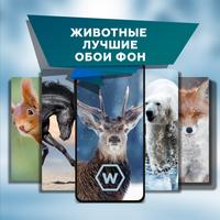 Красивые животных обои фон скриншот 1