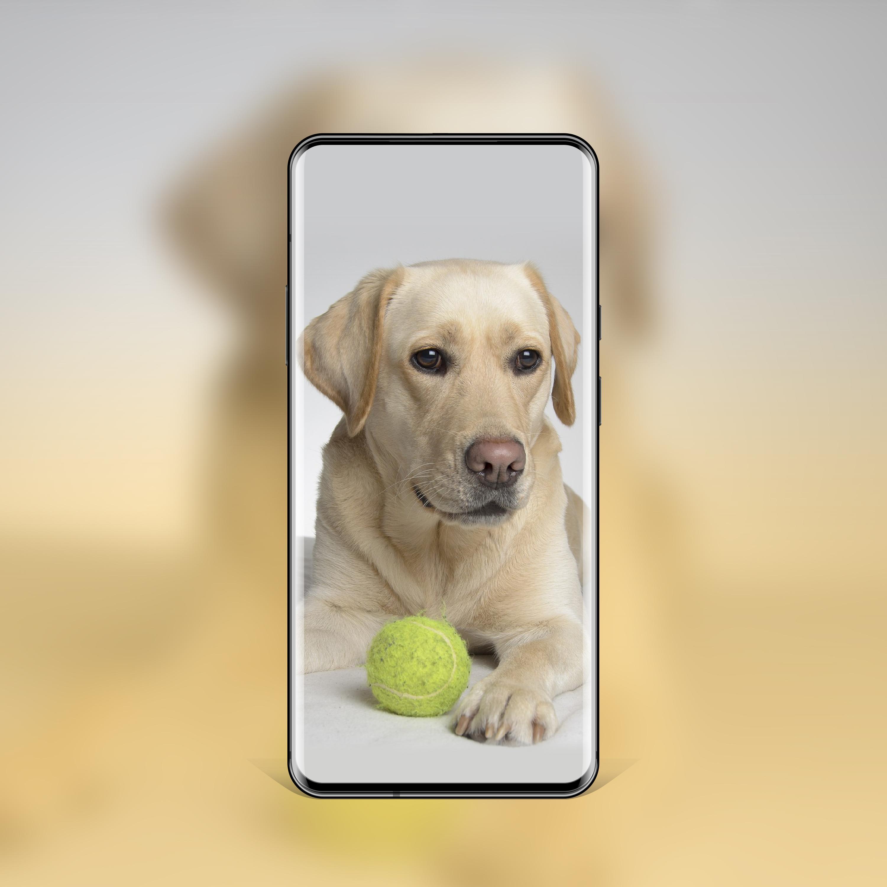 Android için En İyi Köpek Duvar Kağıtları ve Temalar APK�yı İndir