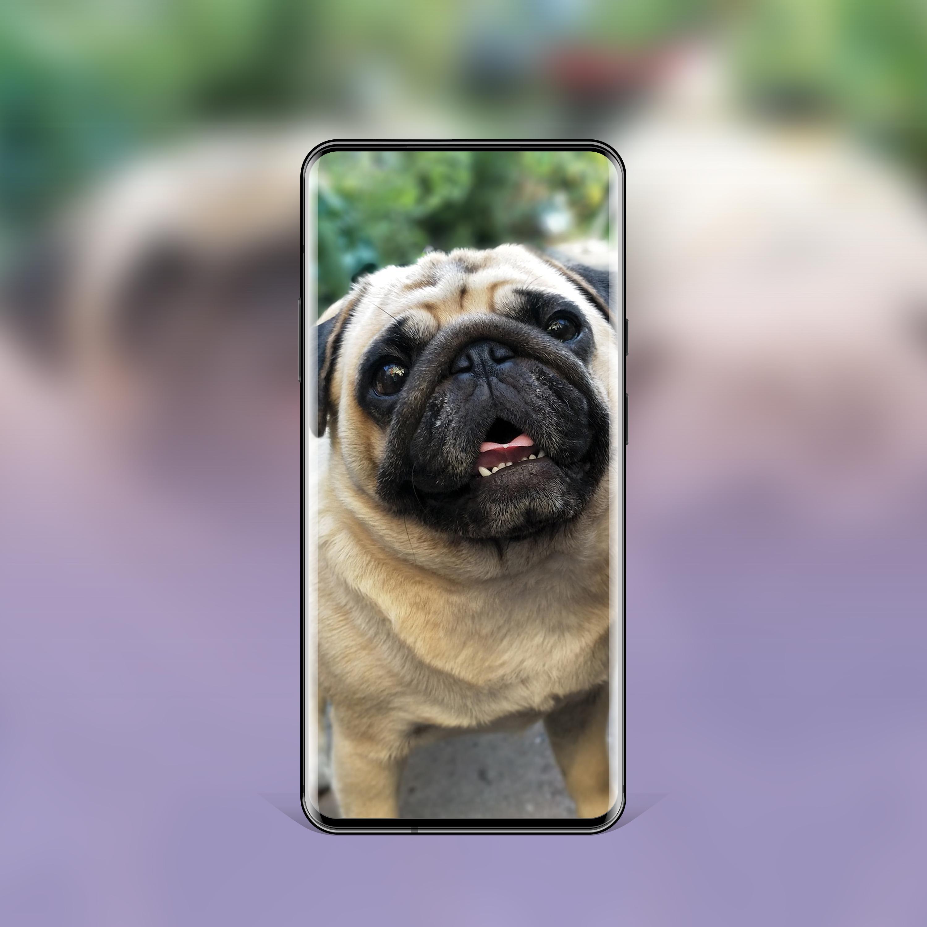 Android için En İyi Köpek Duvar Kağıtları ve Temalar APK�yı İndir