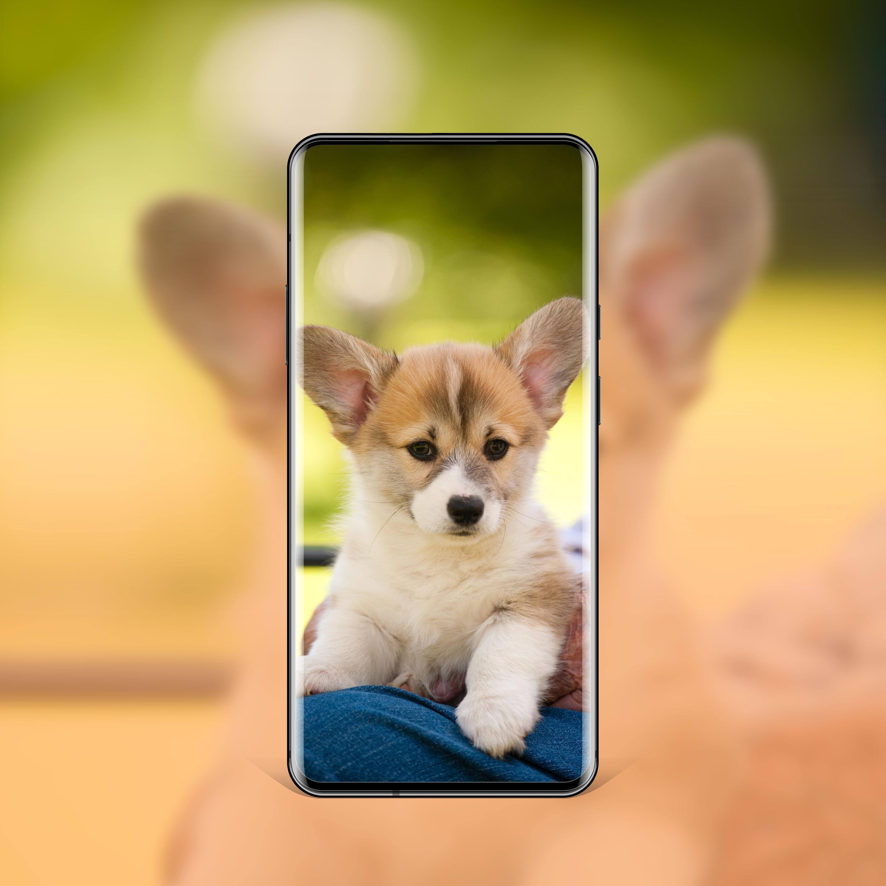 Android için En İyi Köpek Duvar Kağıtları ve Temalar APK�yı İndir