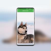 خلفيات كلاب جميلة تصوير الشاشة 2