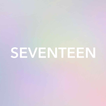 ”SEVENTEEN LIGHT STICK VER2