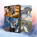 Cute animals jigsaw puzzle games 🐼🐟🐤 APK