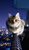 Puzzles chatons et chats capture d'écran 3