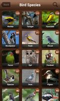 Bird Sounds, Calls, Songs & Ringtones تصوير الشاشة 1