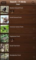 Bird Sounds, Calls, Songs & Ringtones capture d'écran 2