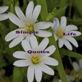 Simple Life Quotes