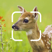 TrailCam Go icon