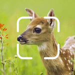 TrailCam Go icon