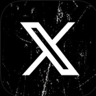 X icono