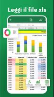 1 Schermata Lettore di file XLSX