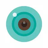 iCSee APK