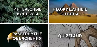 QuizzLand: онлайн викторина