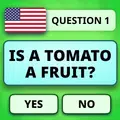 QuizzLand