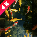 video wallpaper-live wallpaper APK