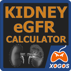 Kidney Glomerular Filtration Rate  eGFR Calculator Zeichen