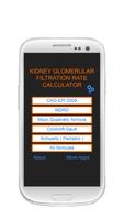Kidney Glomerular Filtration Rate  eGFR Calculator Poster
