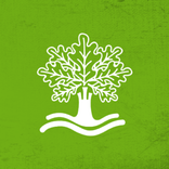 Timetrip: Castelo de Naraío