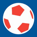 Copa 2024 APK