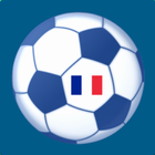 Ligue 1 icon