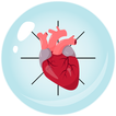 Eje Cardíaco icon