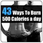 43 Ways to Burn 500 Calories icône