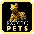 Exotic Pets icône