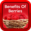 Health Benefits of Berries APK
