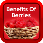 Health Benefits of Berries icône