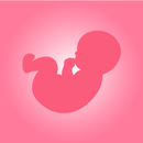 Pregnancy Calculation App APK
