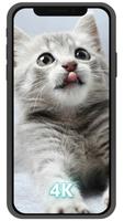 Nature Wallpapers - Animal Art screenshot 3