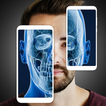 X ray Body Scanner Xray camera