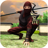Real Ninja Warrior icon