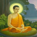 Luận về nhân quả-APK